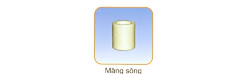 Măng s&ocirc;ng