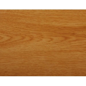 E401 Sồi v&agrave;ng Canada